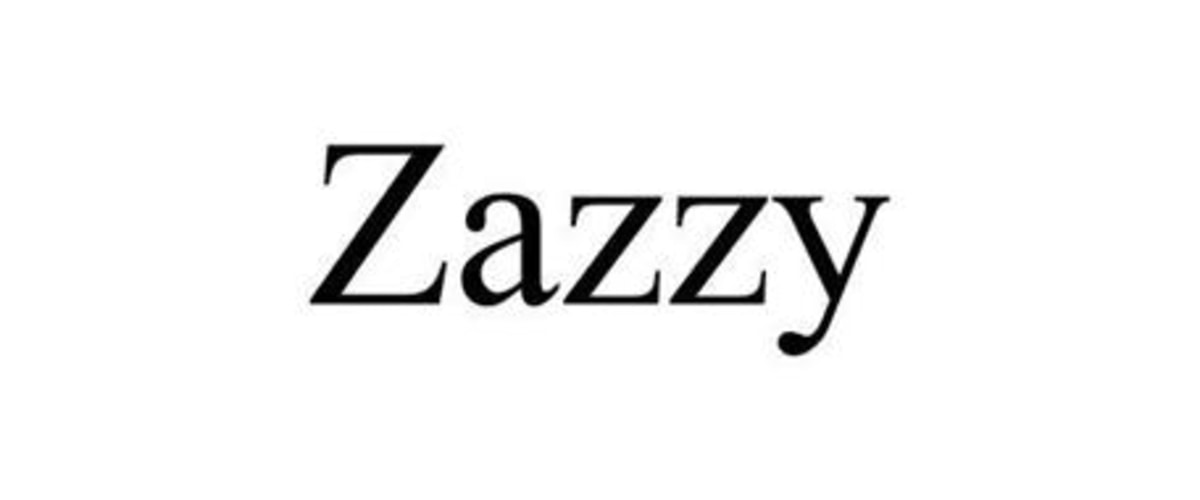werken bij Zazzy 